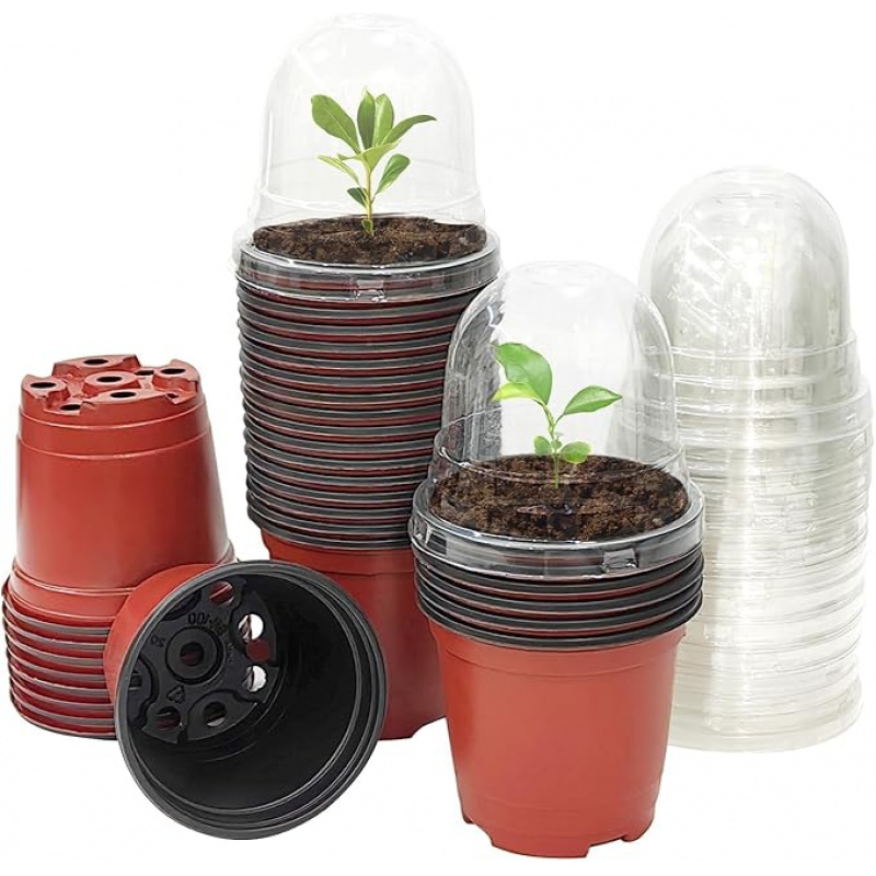 กระถางปลูกต้นไม้พร้อมกระถางเด็ - Baby Nursery Plants บทวิจารณ์และราคา