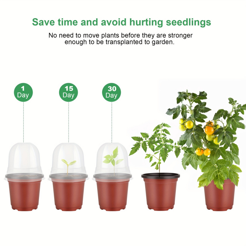 กระถางปลูกต้นไม้พร้อมกระถางเด็ - Baby Nursery Plants บทวิจารณ์และราคา